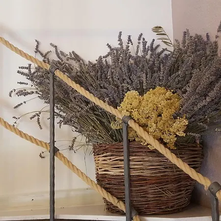 Appartement Vintage *