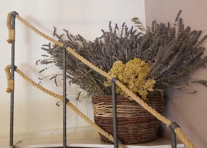 Apartament Vintage *